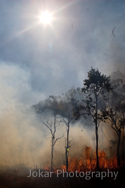 Calvert River_20070815_034.jpg - Bushfire near Wollogorang, Northern Territory